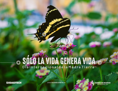 Día Internacional de la Madre Tierra: El potencial regenerativo en la salud del suelo y del planeta       