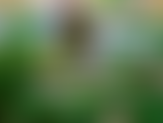 Día Internacional de la Madre Tierra: El potencial regenerativo en la salud del suelo y del planeta       