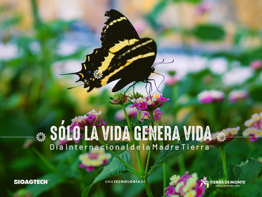 Día Internacional de la Madre Tierra: El potencial regenerativo en la salud del suelo y del planeta       