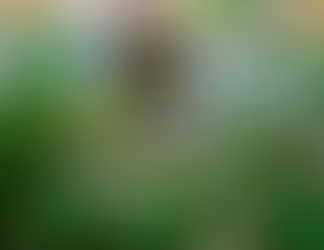 Día Internacional de la Madre Tierra: El potencial regenerativo en la salud del suelo y del planeta