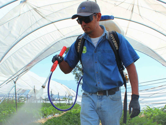 Cuidado integral del suelo