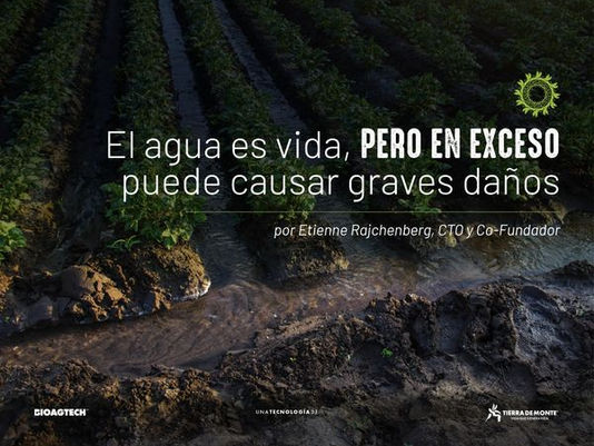 El riego es un arma de dos filos.