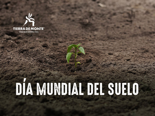 El éxito se cultiva al promover la biodiversidad del suelo.