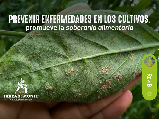Prevenir enfermedades en los cultivos, promueve la soberanía alimentaria.