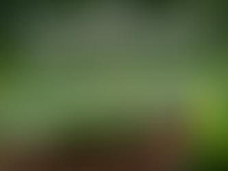 Prevenir enfermedades en los cultivos, promueve la soberanía alimentaria.