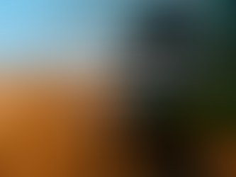 La huella de carbono es un indicador que refleja nuestra contribución al problema o a la solución 🌎​​