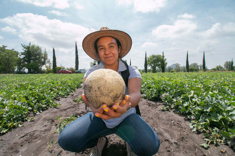 agricultura-regenerativa-cultivos-productivos